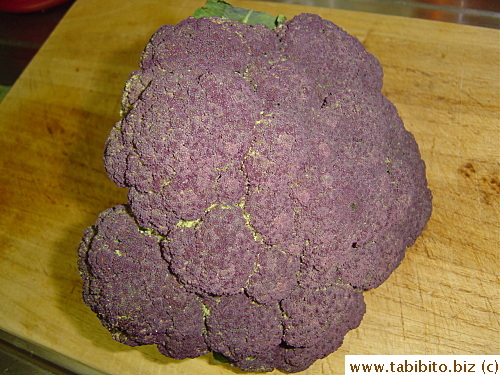 Dark purple top