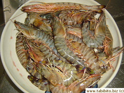 and live Kuruma Ebi