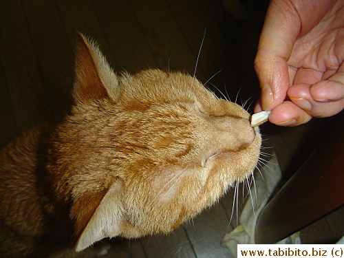 He loves Shanghai crab