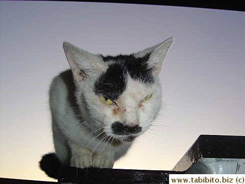 Another shot to confirm the fact