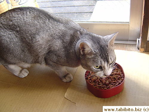 Approached the food gingerly at first