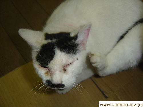 She scratches incessantly