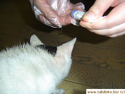 KL applies the ointment on her