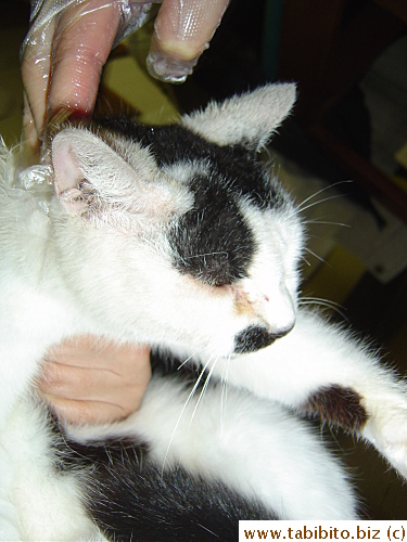 while I hold her tight