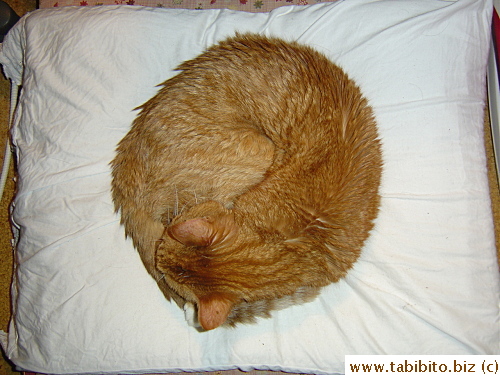 It's a full moon tonight!