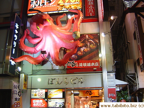 Entering the center of Dotonbori, we saw this giant octopus on this takoyaki (fried octopus ball) shop