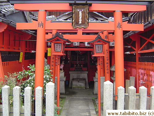 There's this shrine with multiple torii gates