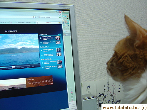 Daifoo watched an ad with a flapping whale in it