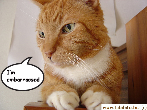 Feeling embarrassed
