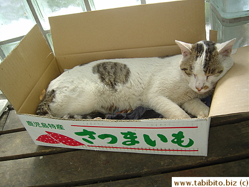 He likes the box too