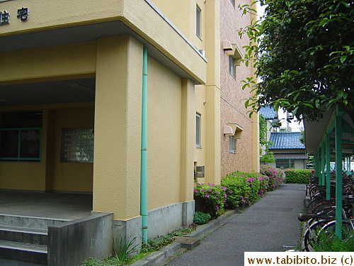 Right around the back through this little road