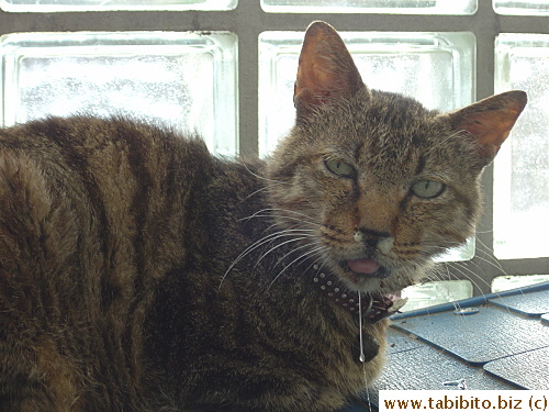 Won't you let me wipe your face?