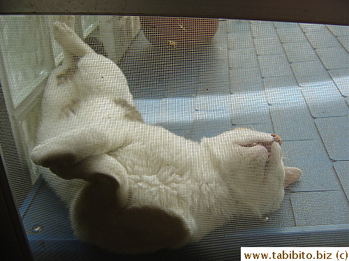 I think he's too relaxed