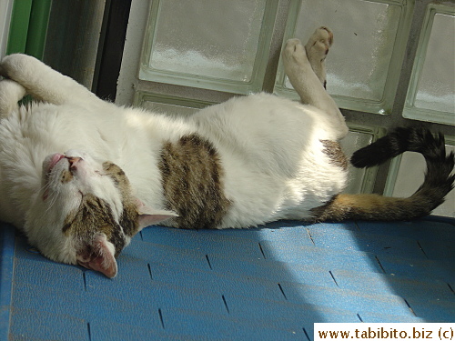 I took this picture from outside