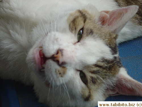 Sacca, you're a bit spoiled