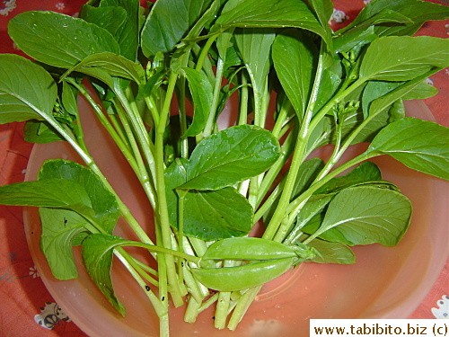 Harvested choisum and TWO sugarsnap peas
