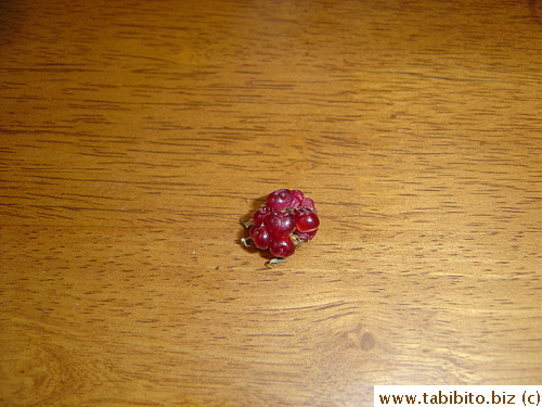 The very first boysenberry from the plant which fell off itself