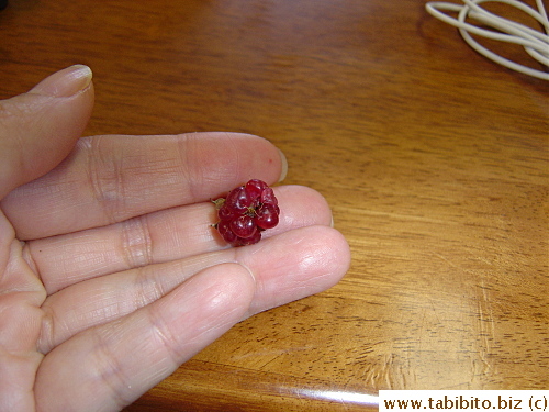 Tiny and tart