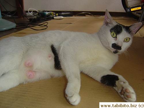 And we thought MT was just fat...