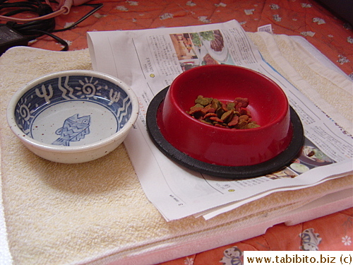 Food set up in the tatami room