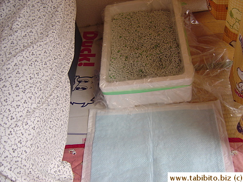 and a litterbox beside the couch