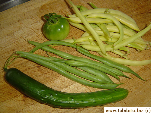 Picked some yellow and green beans, a Japanese cucumber, a green tomato (bottom rotten) today