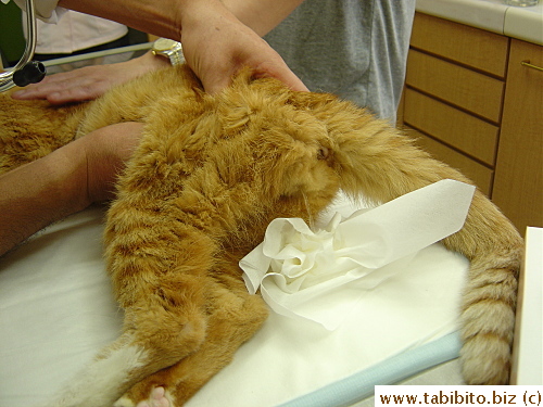 He then massaged his lower abdomen to extract urine and cleaned his eyes and mouth