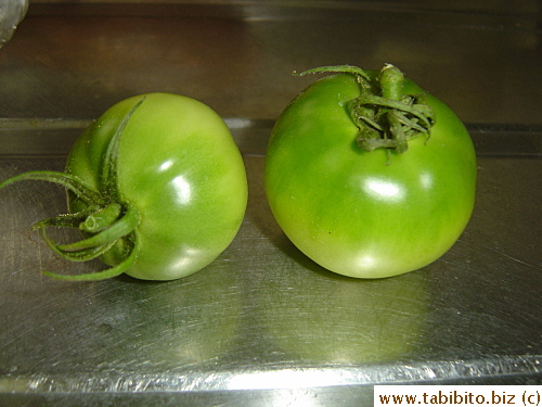 To make fried green tomatoes, you have to grow your own, there's none on the market here
