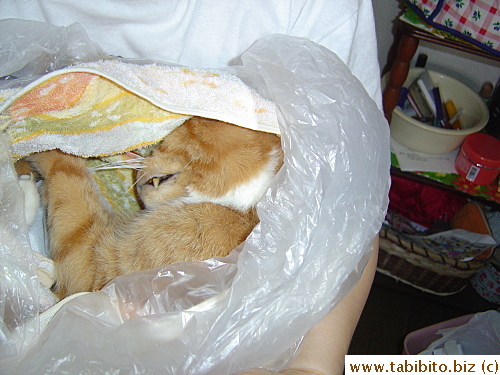 I held him in my arms from the morning till the funeral staff arrived past noon