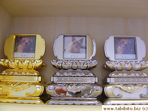 Special picture frames