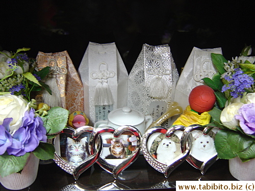 Another kind cat owner's shrine
