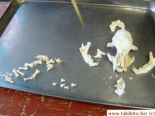 I could see Daifoo's shadow on the skull