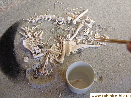 We transferred the rest of the bones into the urn