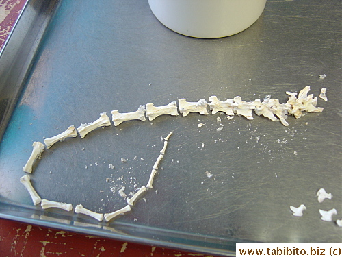 Daifoo had a long tail