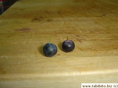 The very first two blueberries from our tree!