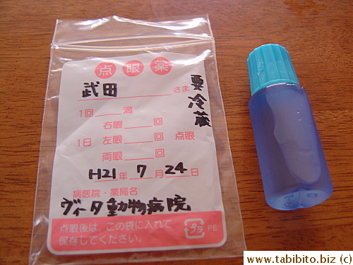 Eye medication for Efoo, 4 times a day