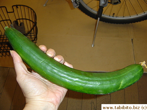 KL says this photo is obscene