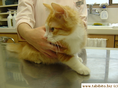 Held by the nurse