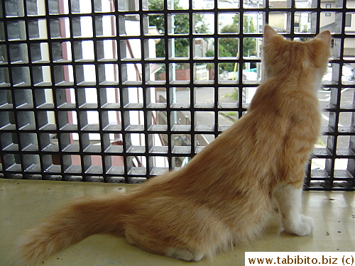 Spotted something scary maybe