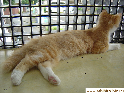 Finally able to relax a bit