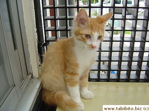 I distracted him with something