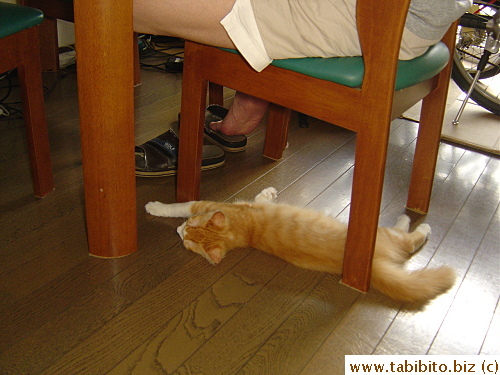 We always have to check the floor before we move our chairs,