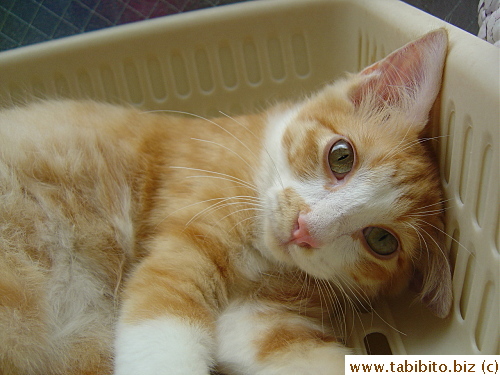 Awwww, looks so innocent