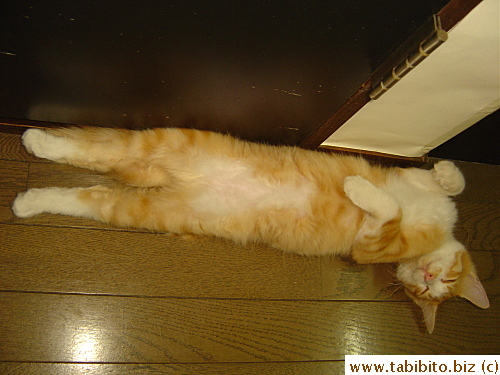 Sometimes Efoo sleeps on his back