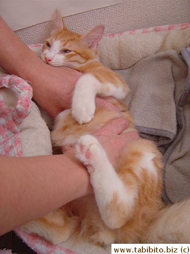 and he decides to bite him