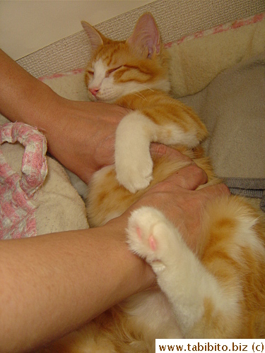 KL decides to rock him