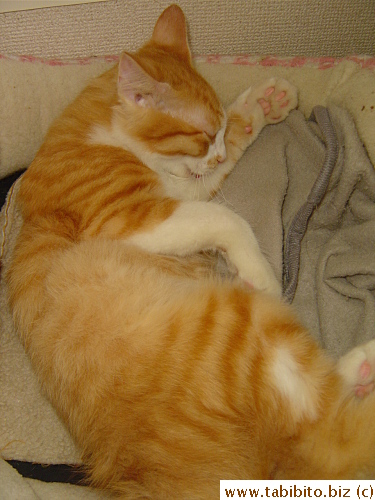 Freshens up after his nap