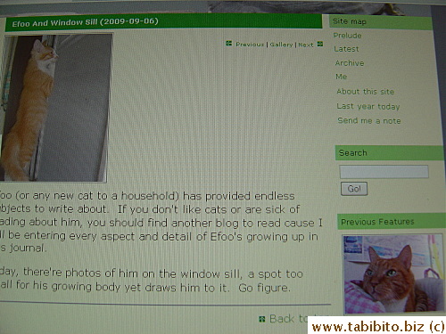 Daifoo looking at Efoo!