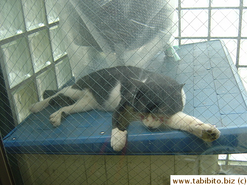 2dau took a nap in the balcony