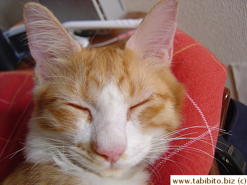 The face of a 5-month-old Efoo